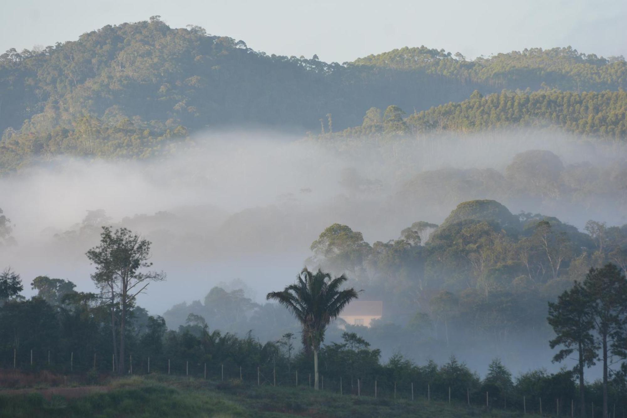 Sitio Juara Bed & Breakfast ซานตาเทเรซา ภายนอก รูปภาพ