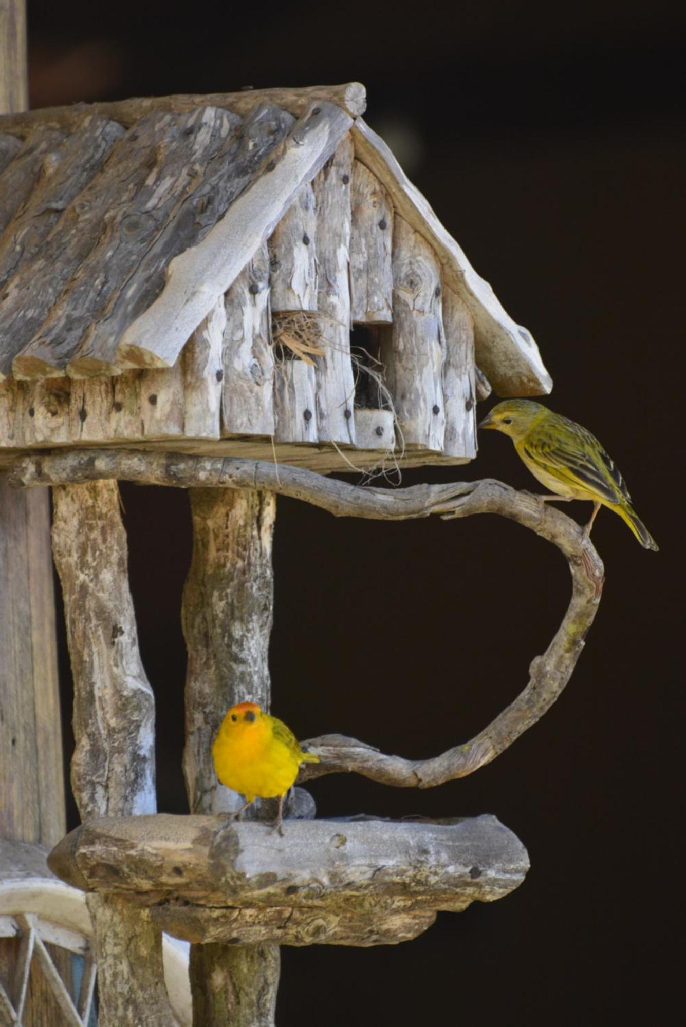 Sitio Juara Bed & Breakfast ซานตาเทเรซา ภายนอก รูปภาพ