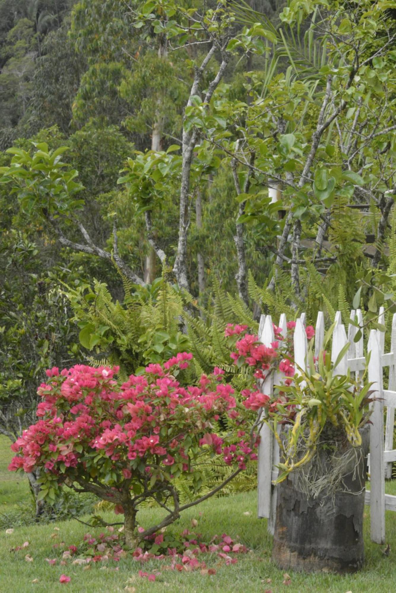 Sitio Juara Bed & Breakfast ซานตาเทเรซา ภายนอก รูปภาพ